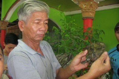 Bất ngờ với chú ba ba hình mặt người